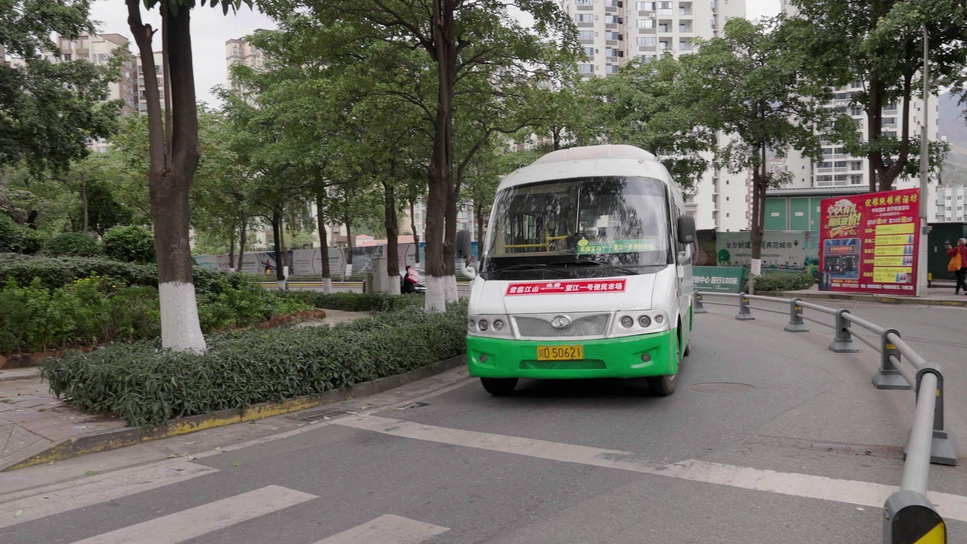 插入的图片