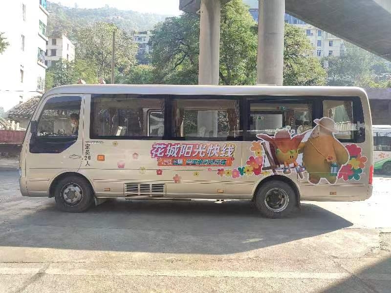 插入的图片