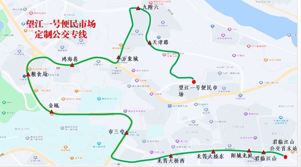 插入的图片