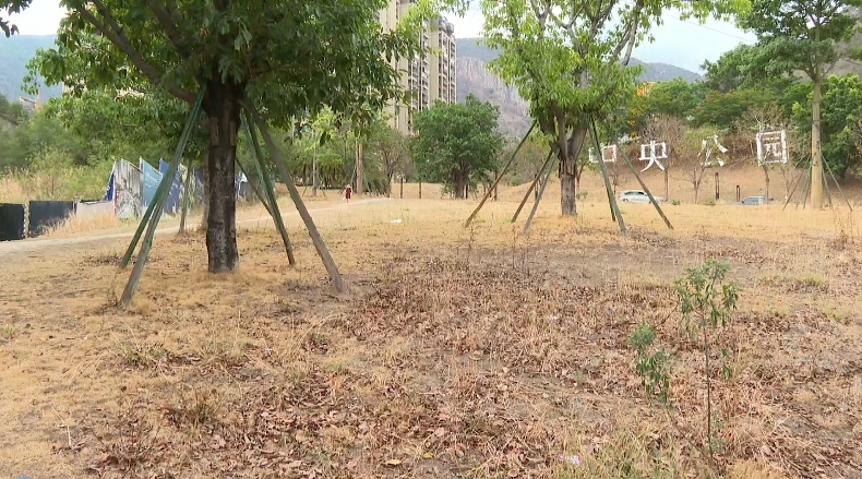 微信截图_20240611162816.png