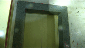 12.gif