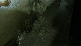 666[00_00_12--00_00_18].gif