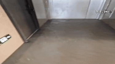 动图 (1).gif