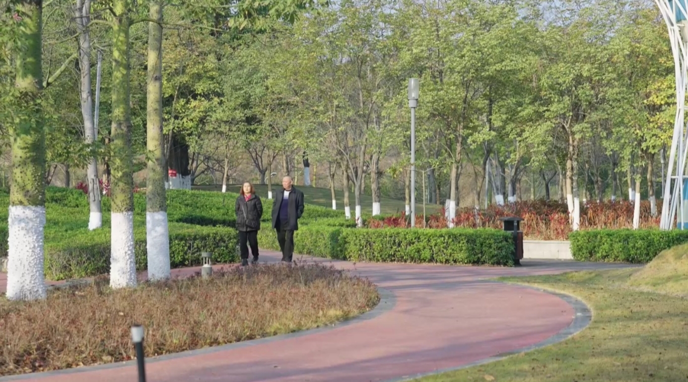 微信截图_20250127162403.png