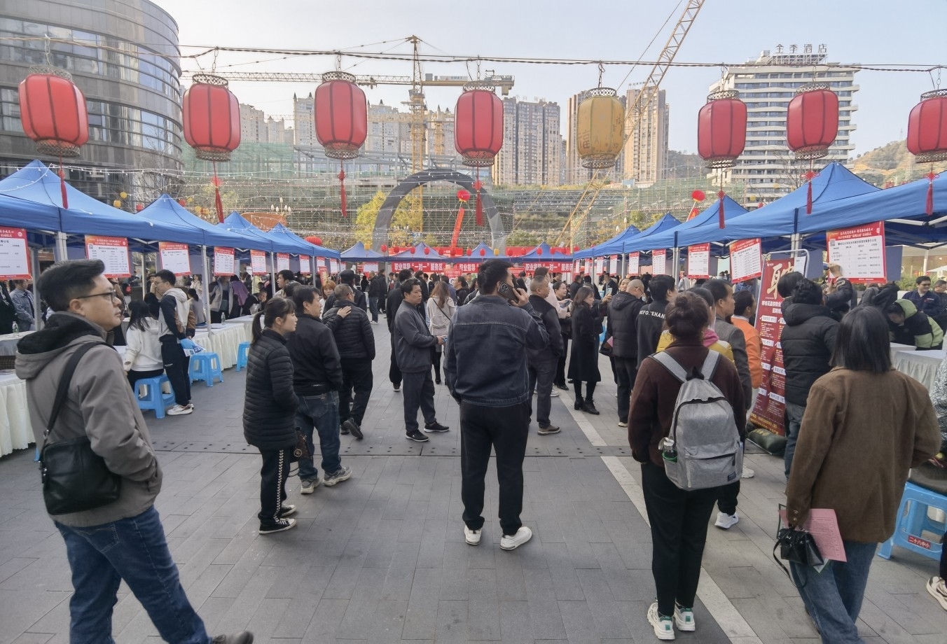 插入的图片