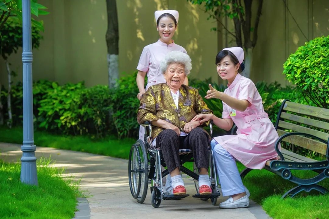 插入的图片
