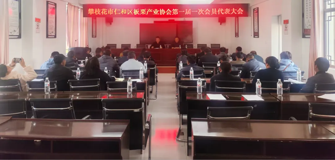 插入的图片