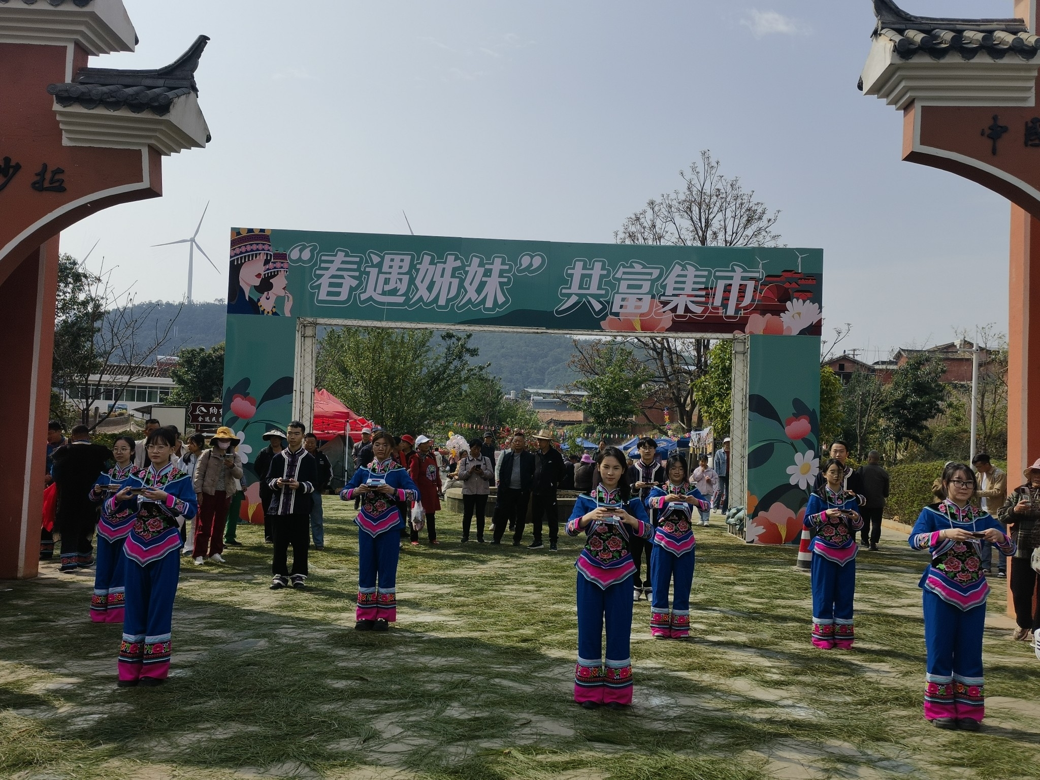 插入的图片