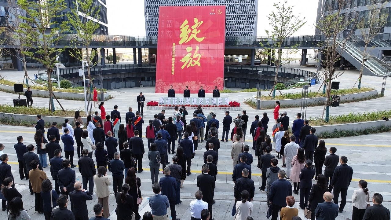 插入的图片