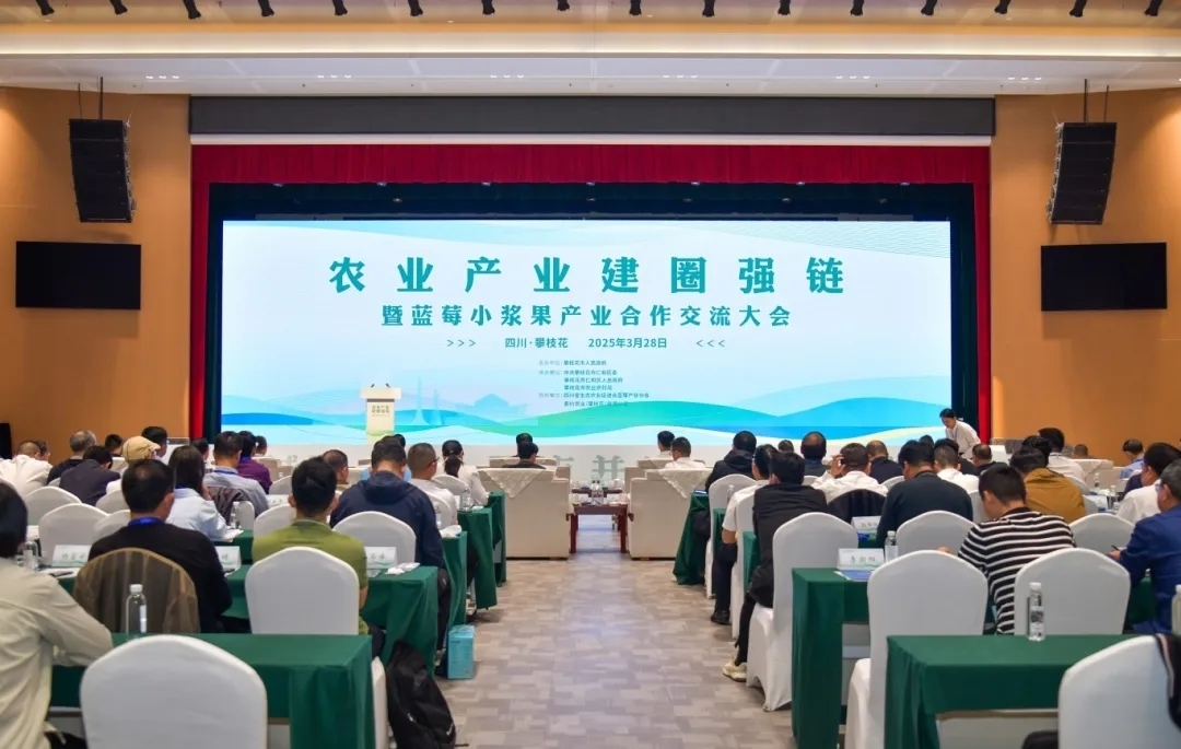 插入的图片