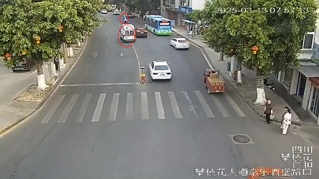 插入的图片
