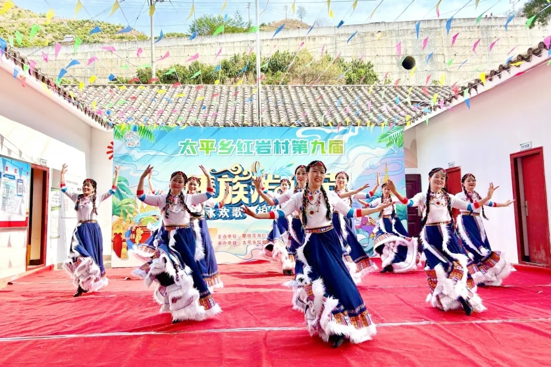 插入的图片