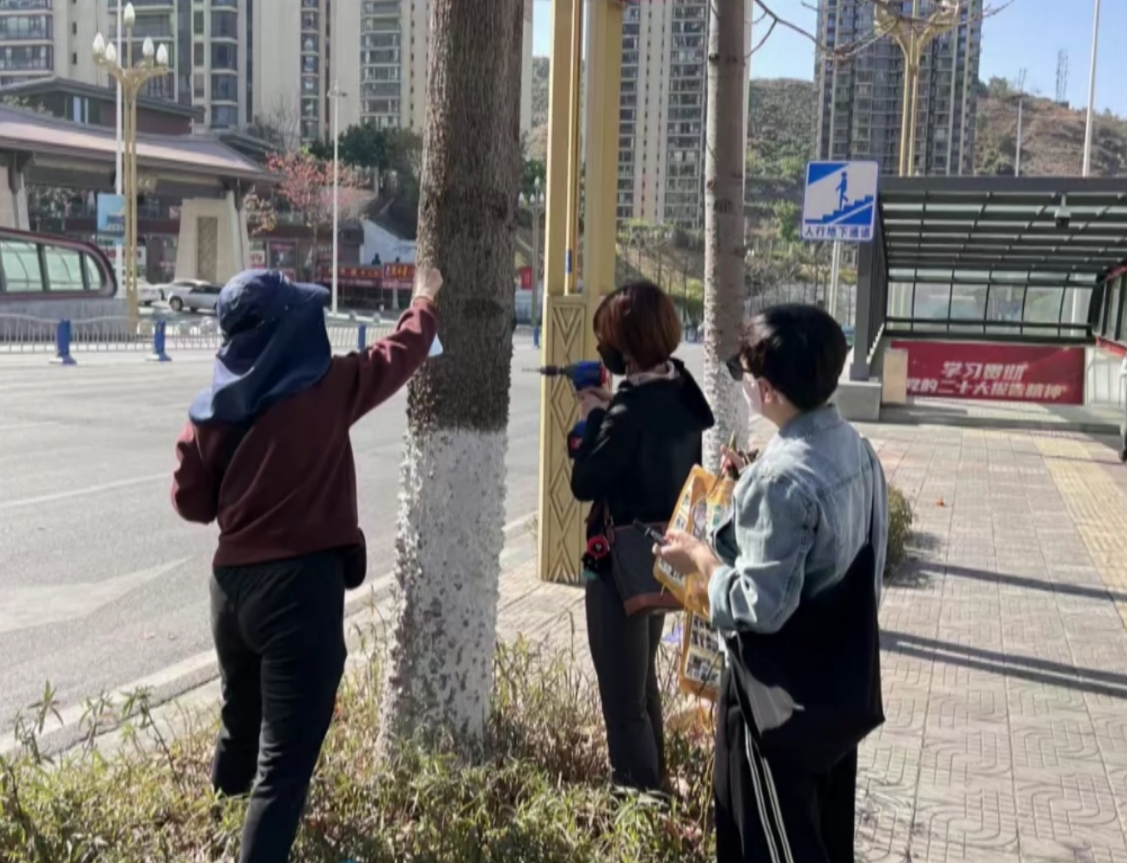 微信截图_20250430171109.png