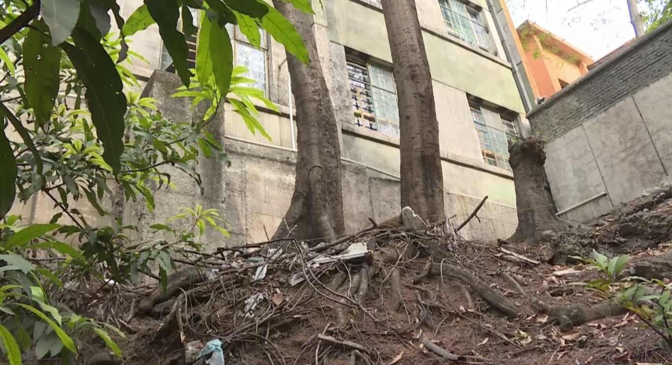 微信截图_20250507164617.png