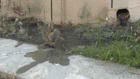 e9ceab1e6b904bf699818274e5bc16e4[00_00_13--00_00_20].gif