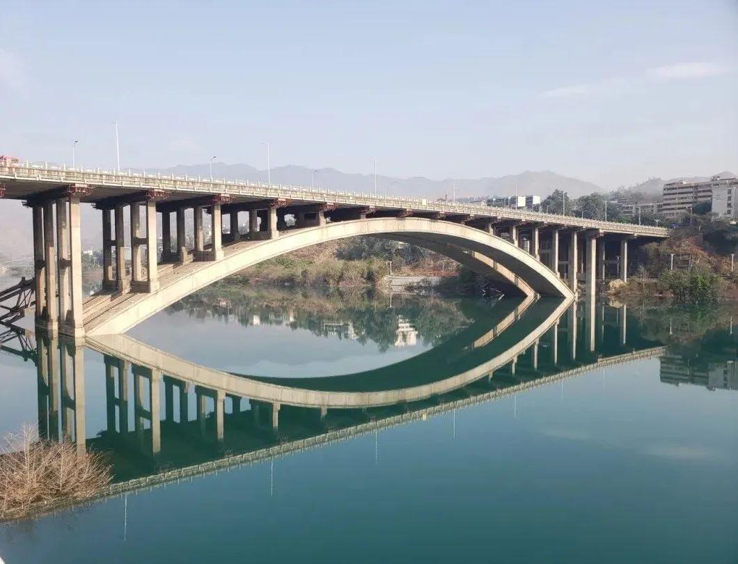 陈昭华2.jpg