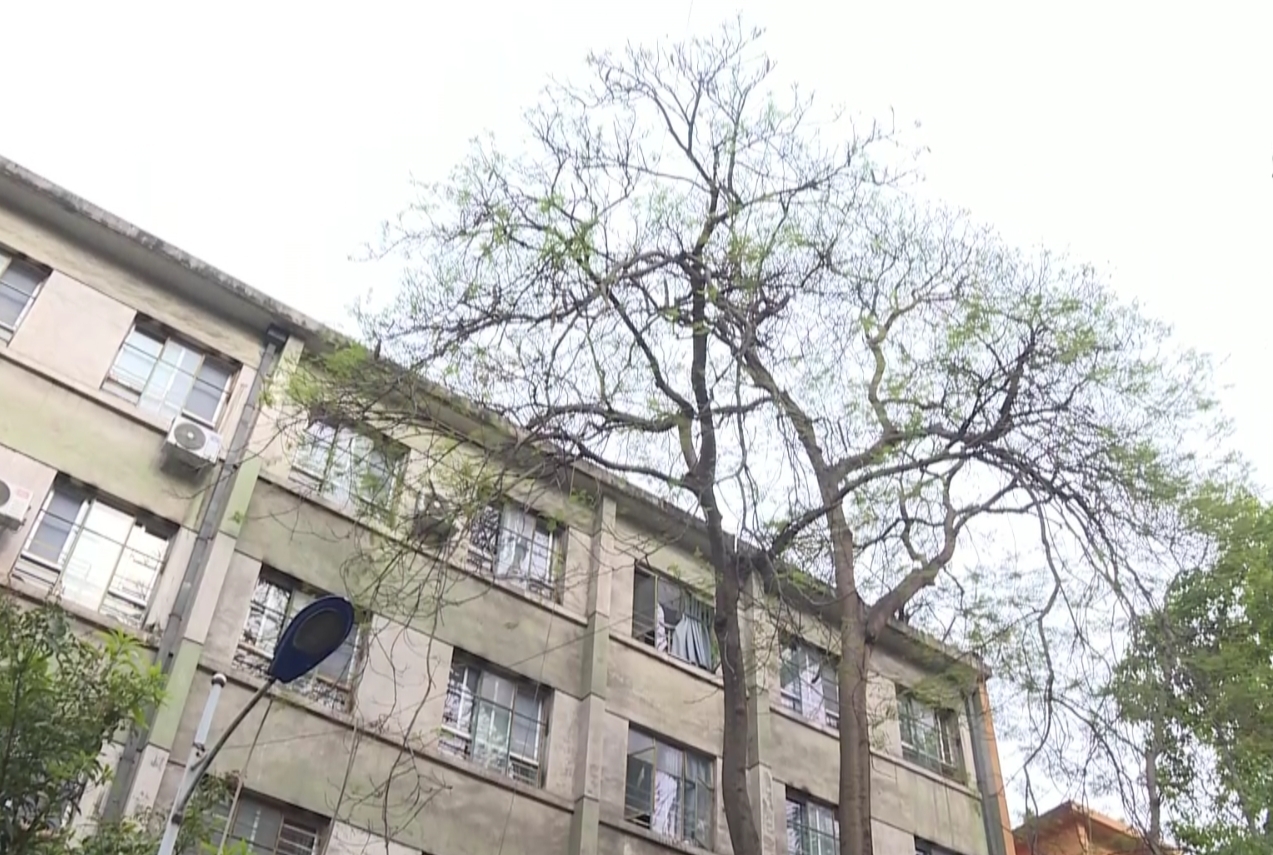 微信截图_20250520163703.png
