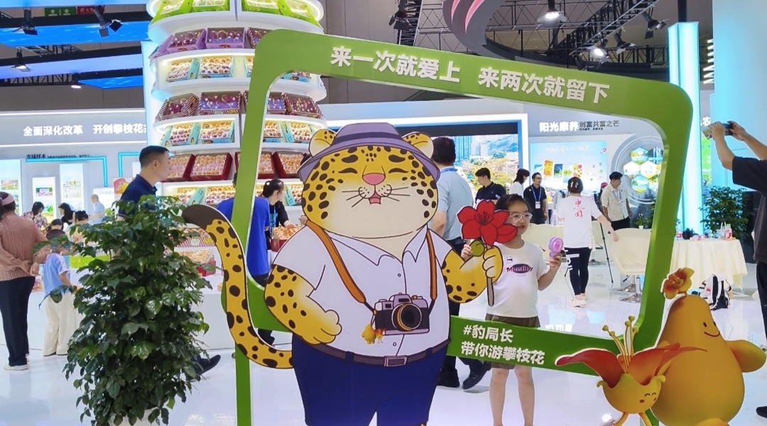 插入的图片