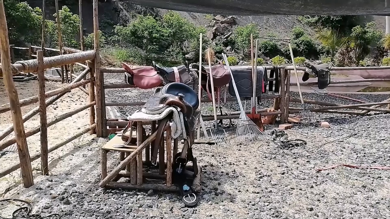 e8cdd42551394929b093c53a9d277cdb.mp4_20250704_161851.477.jpg