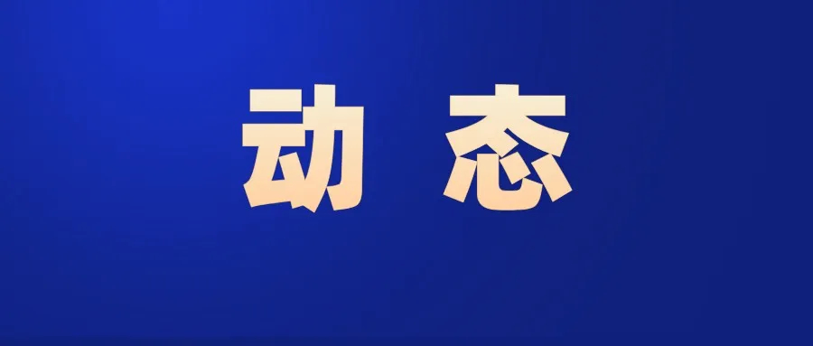 动态.jpg