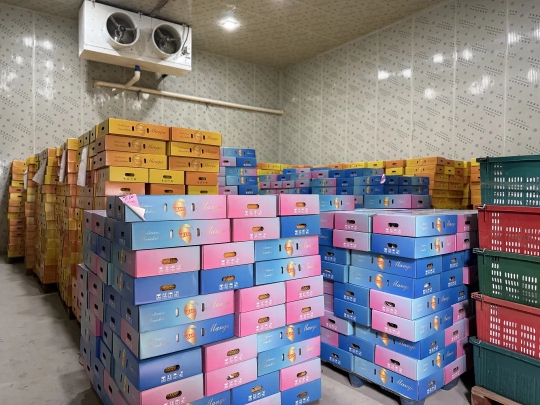 插入的图片