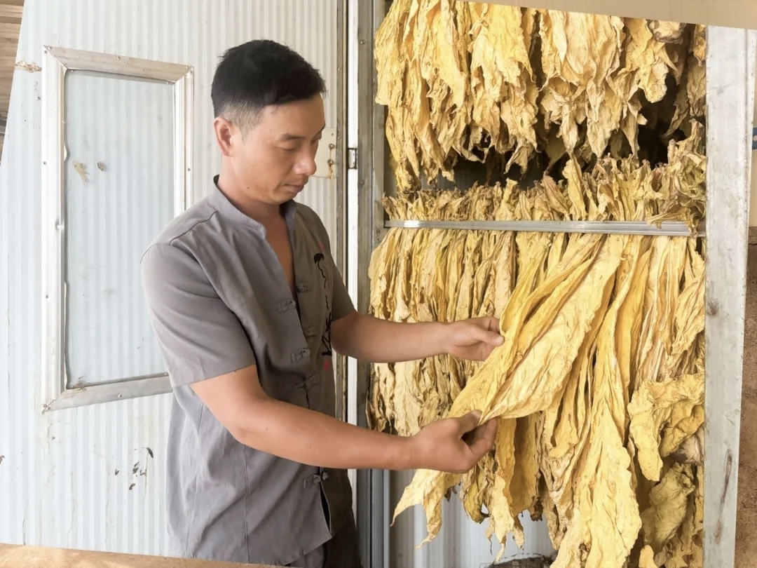 插入的图片