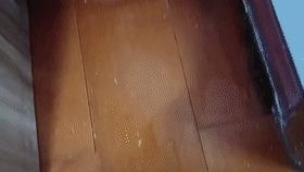 11.gif