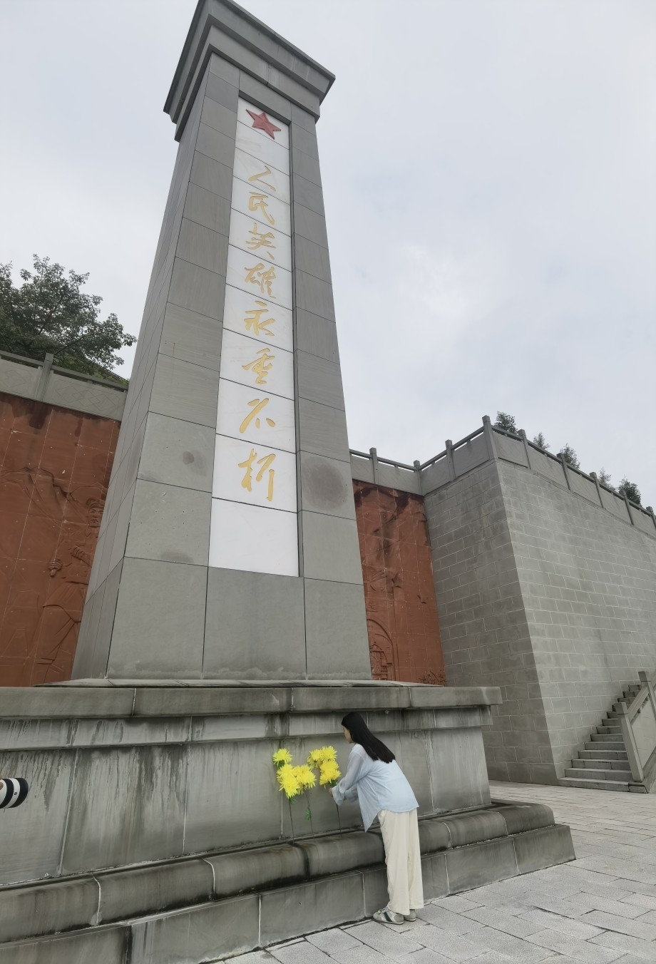 插入的图片