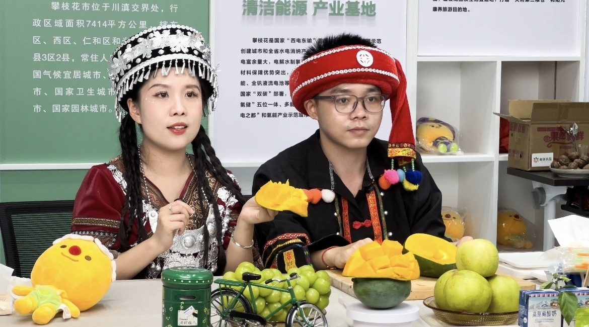 插入的图片