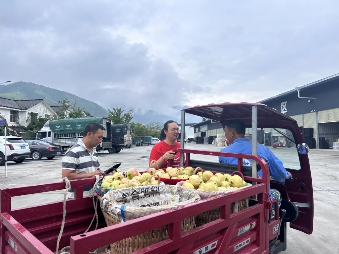 插入的图片