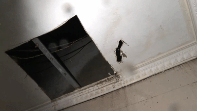 2025-09-09（新媒体app收）——民声小区电梯停运四天[00_02_15--00_02_26].gif