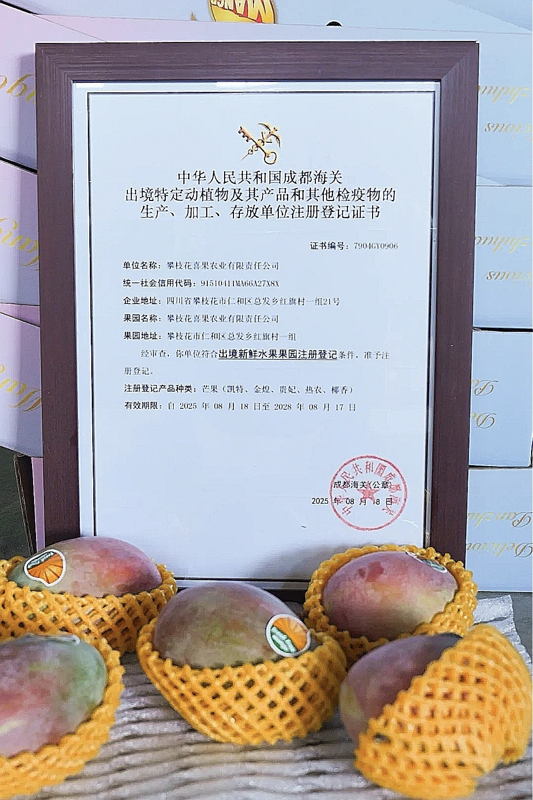 插入的图片